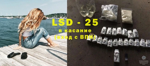 стаф Верея