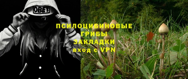 альфа пвп Верхнеуральск