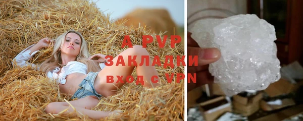 стаф Верея