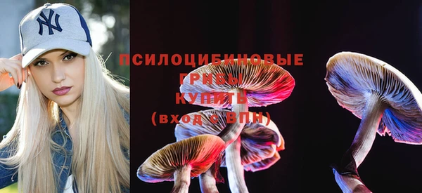 крисы Богданович