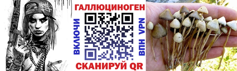 даркнет сайт  Исилькуль  Псилоцибиновые грибы Psilocybe 